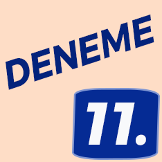 11. Sınıf Deneme
